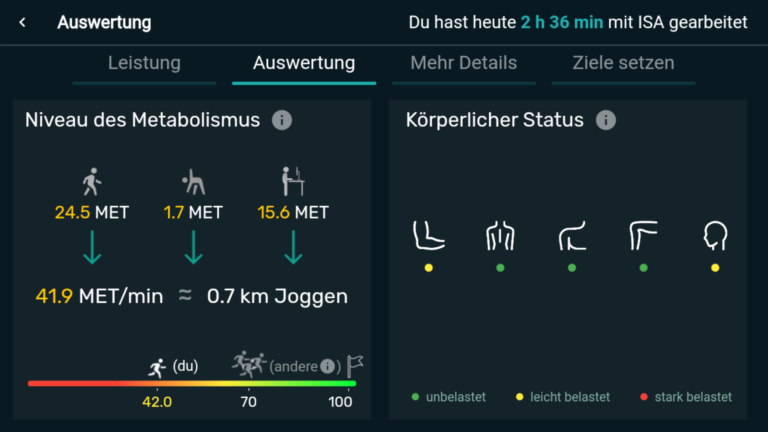 Auswertung auf Isa mit dem Niveau des Metabolismus und dem körperlichen Zustand