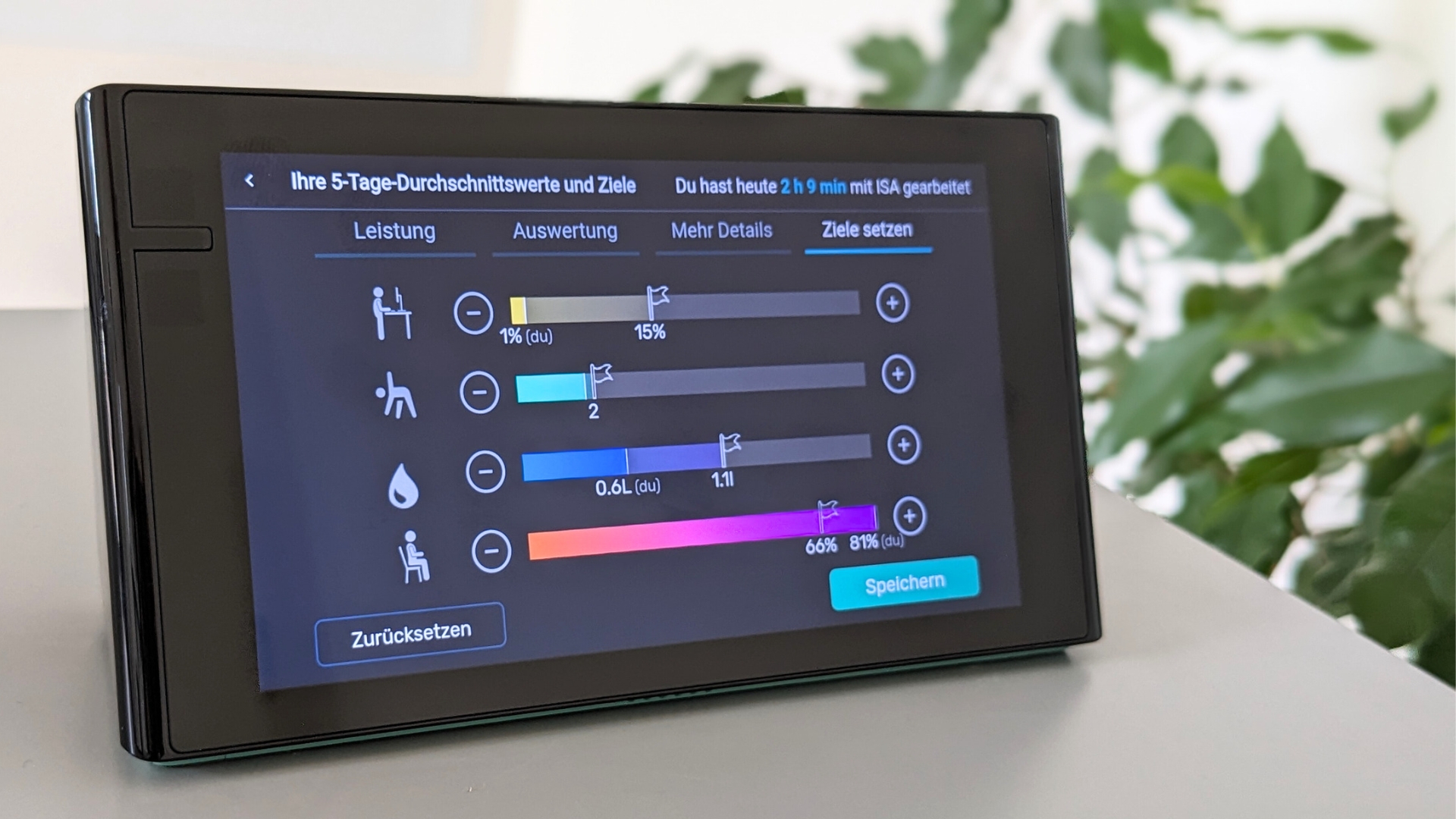 Isa Durchschnittswerte und Ziele