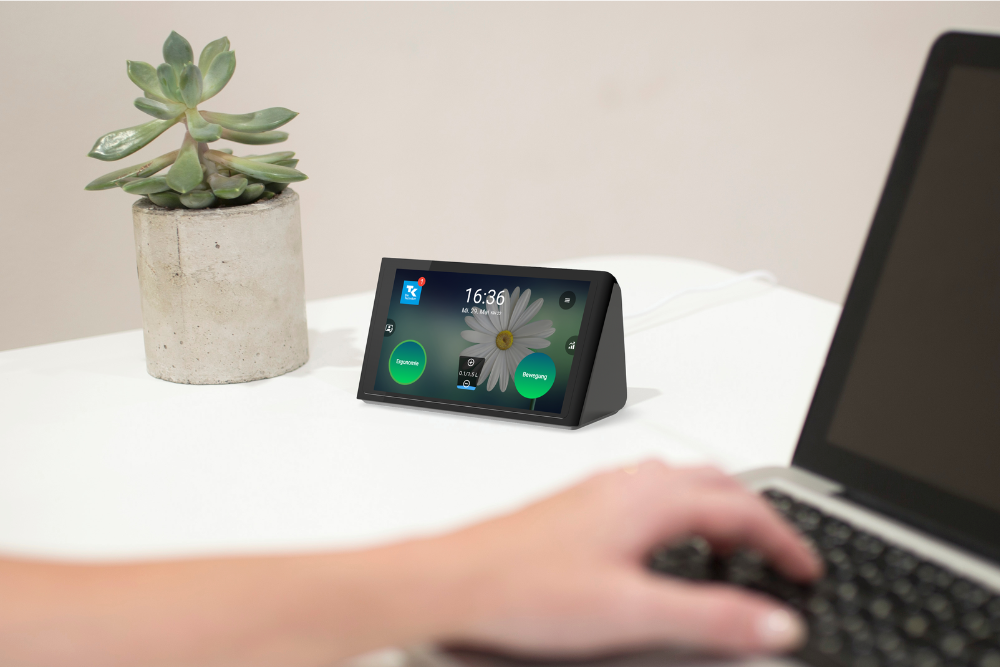 Isa auf einem Schreibtisch mit TK Logo