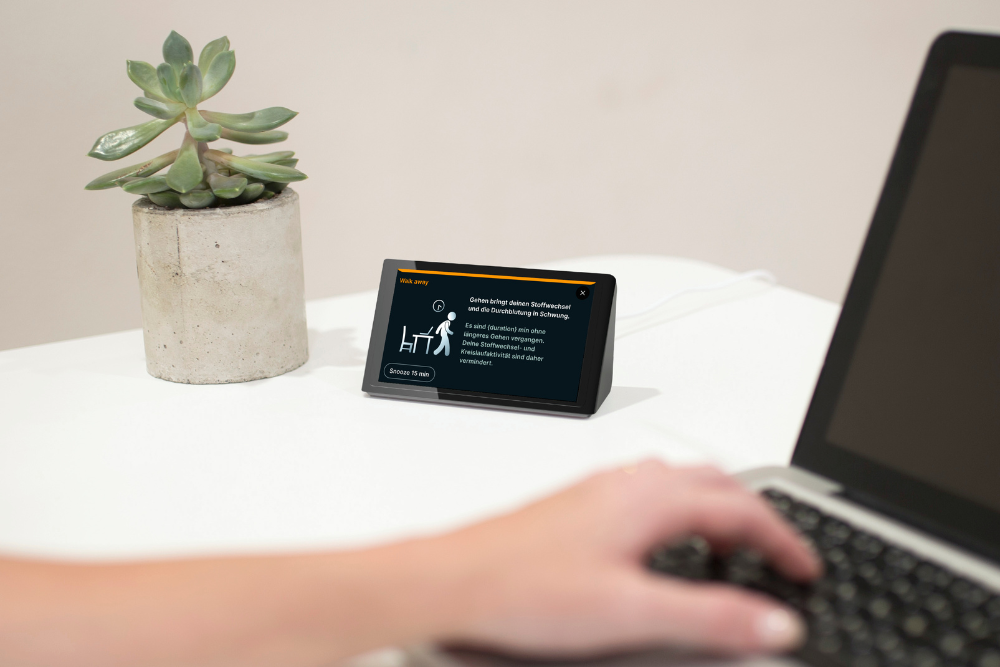 Isa auf einem Schreibtisch